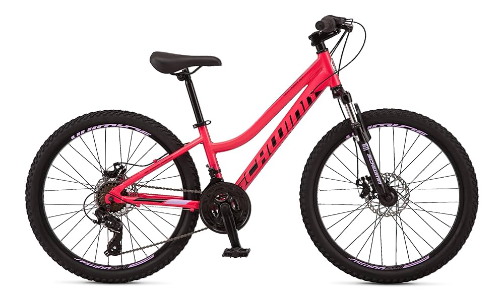 SCHWINN マウンテンバイク SCHWINN (シュウィン) FRONTIER 2019年モデル サイクルショップ
